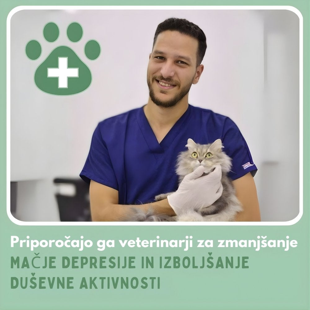 Veluna Interaktivna Praskanje Igrača za Mačke