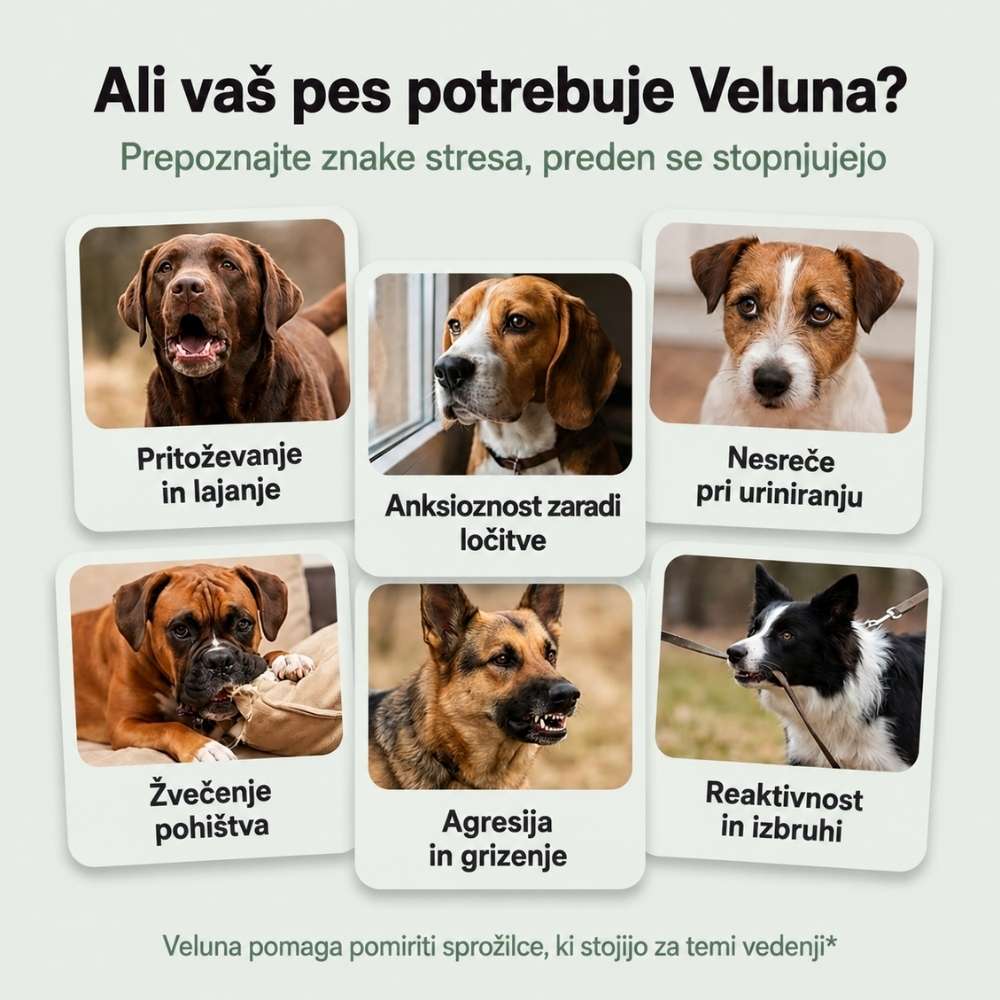 Veluna Feromonski Difuzor za Pse