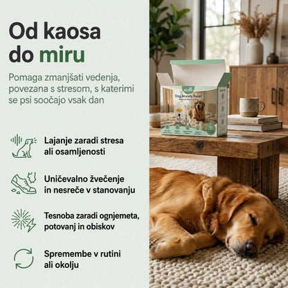 Veluna Feromonski Difuzor za Pse