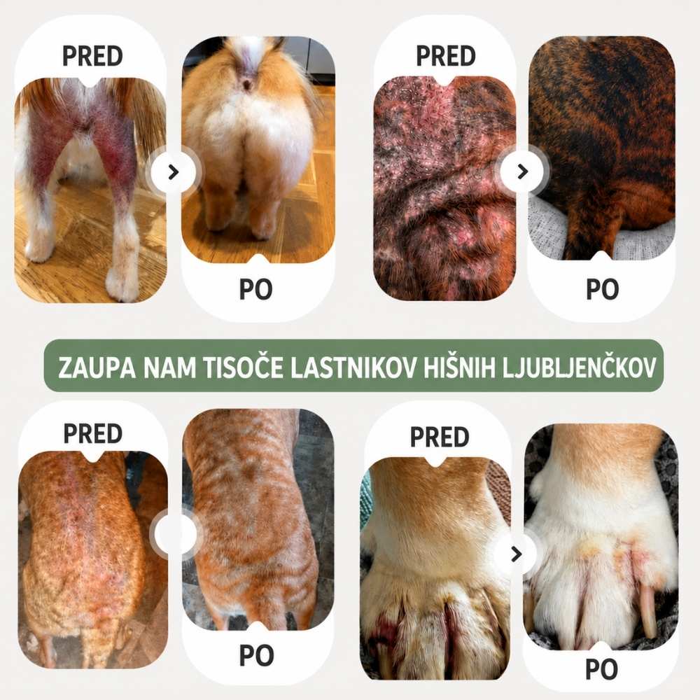 Veluna Veterinarsko odobren sprej za kožo psov