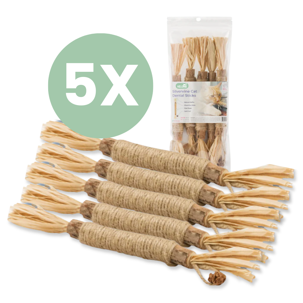 Veluna DentaSticks (paket 5 kos)