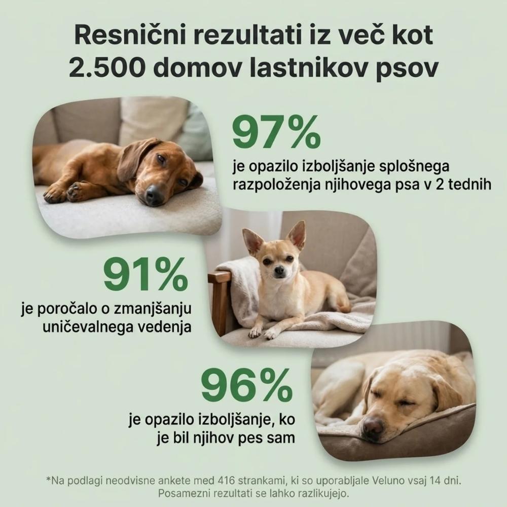 Veluna Feromonski Difuzor za Pse