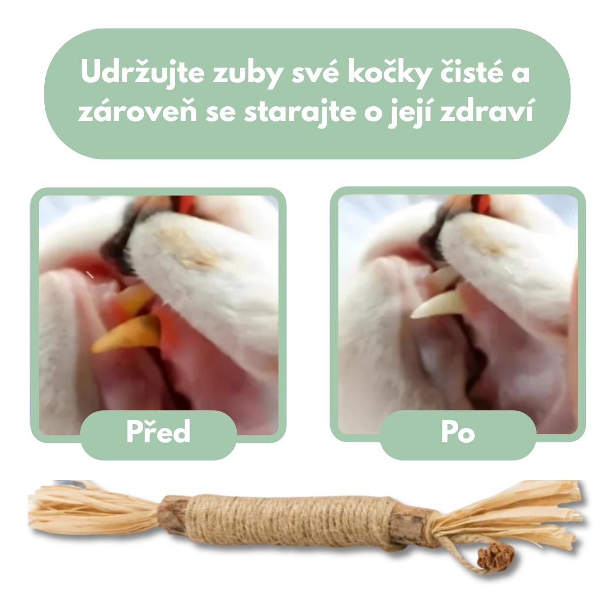 Silvervine dental sticks upsell SK