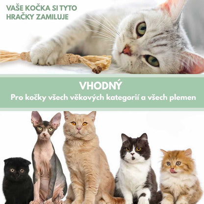 Silvervine dental sticks upsell SK