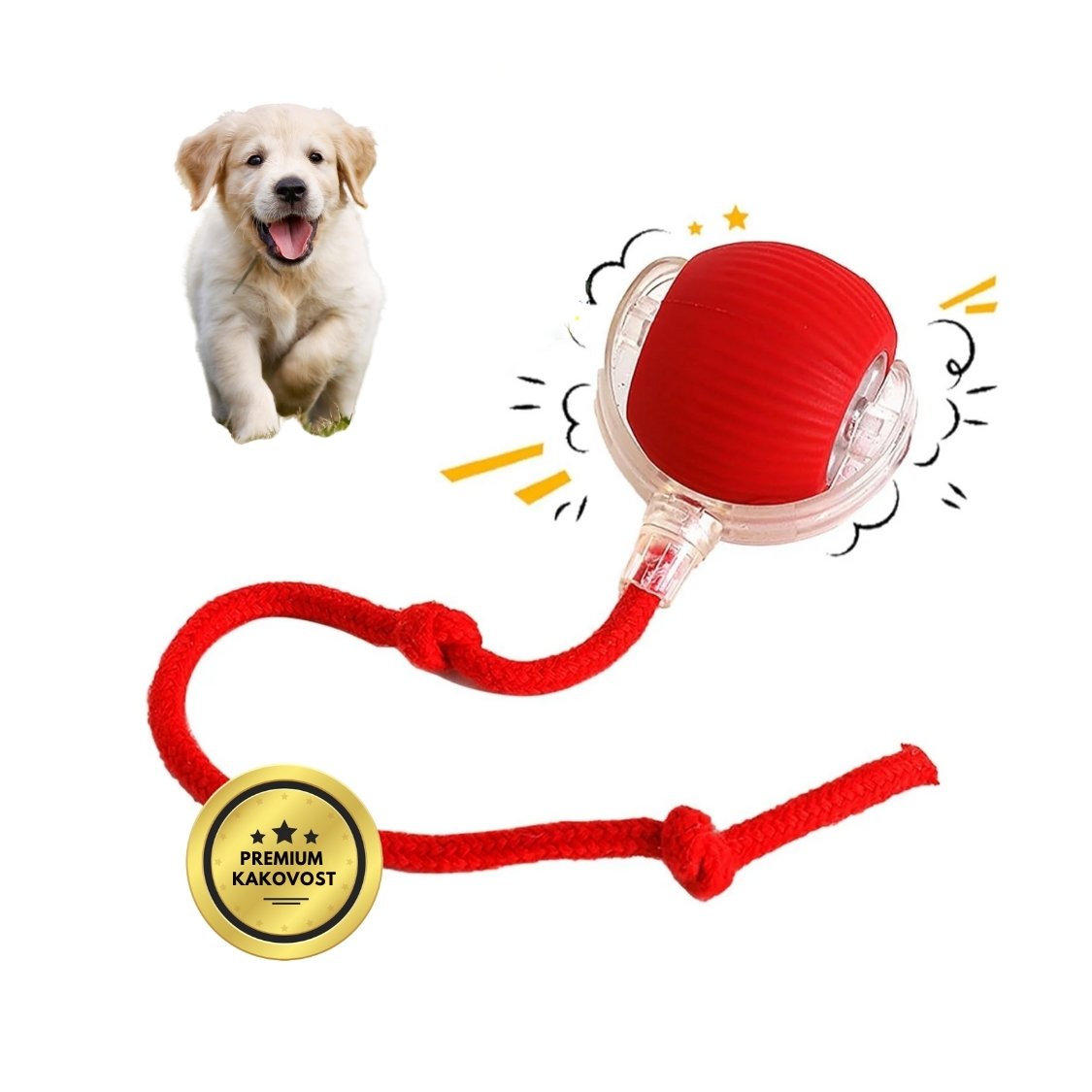 Pametna in interaktivna žogica za vašega psa – polni se prek USB-ja