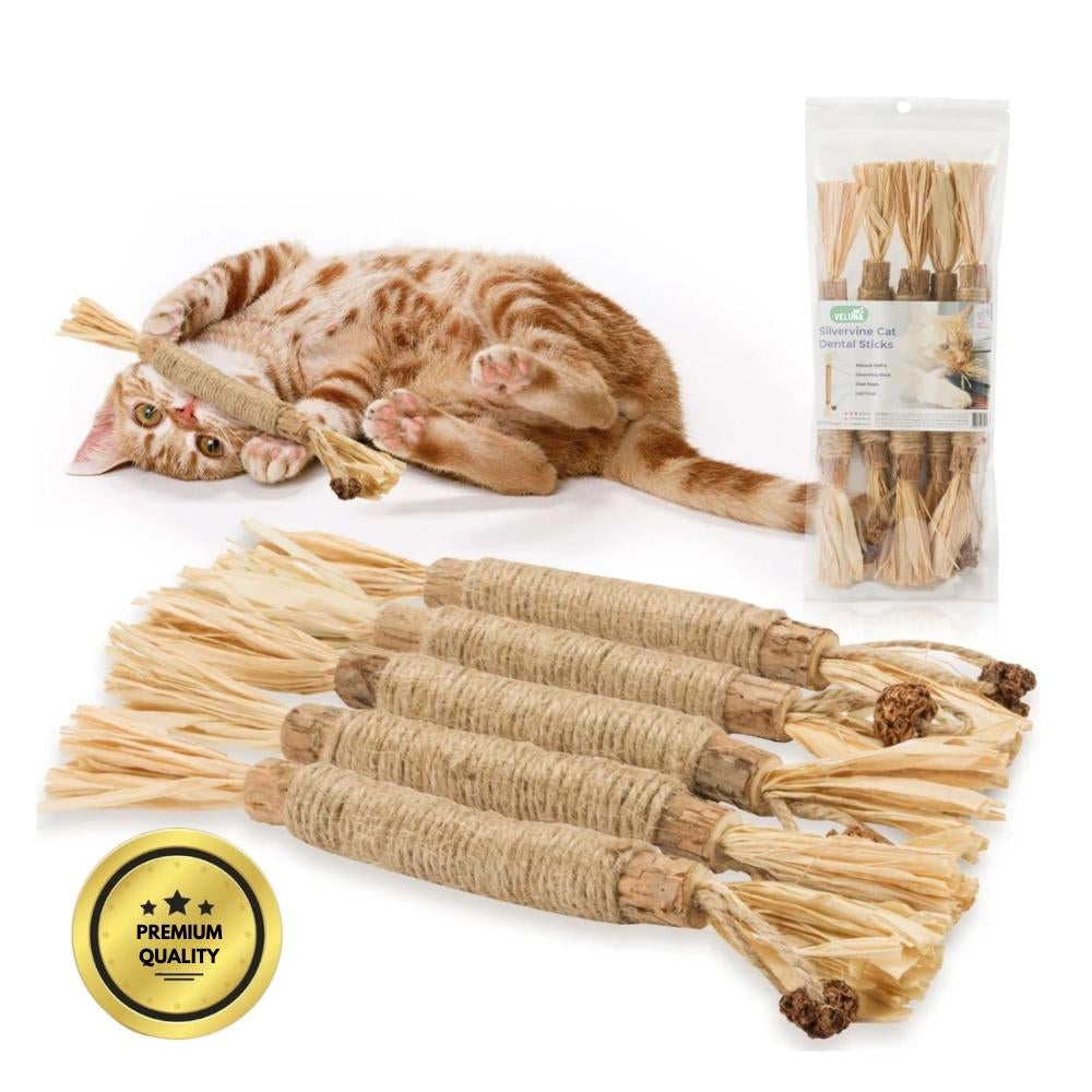 Silvervine dental sticks upsell SK