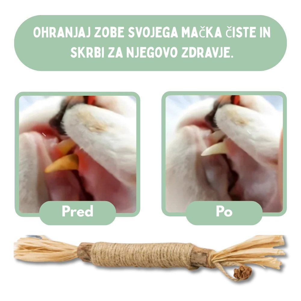 Veluna DentaSticks (paket 5 kos)