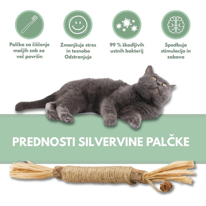 Veluna DentaSticks (paket 5 kos)