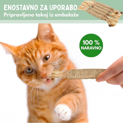 Veluna DentaSticks (paket 5 kos)