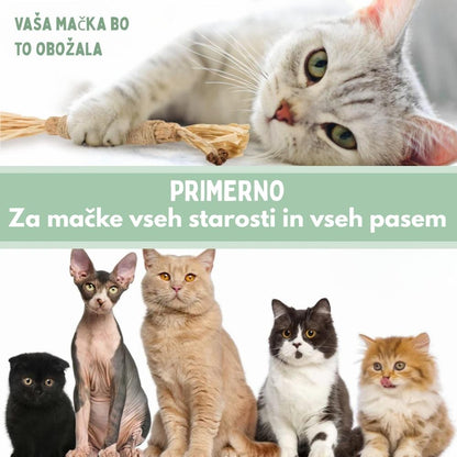 Veluna DentaSticks (paket 5 kos)