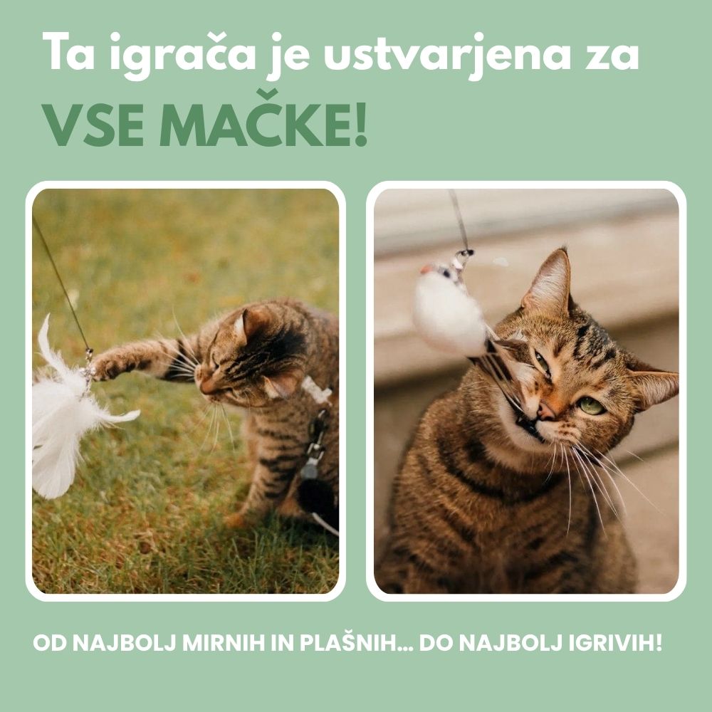 Interaktivna igrača za mačke s perjem, viseča in elastična