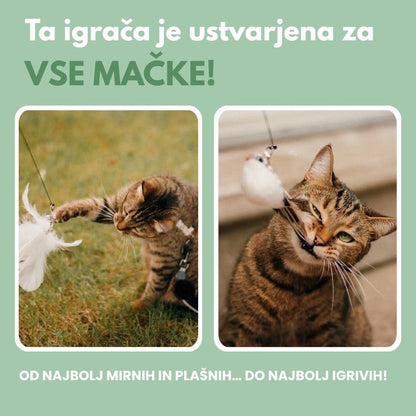 Interaktivna igrača za mačke s perjem, viseča in elastična
