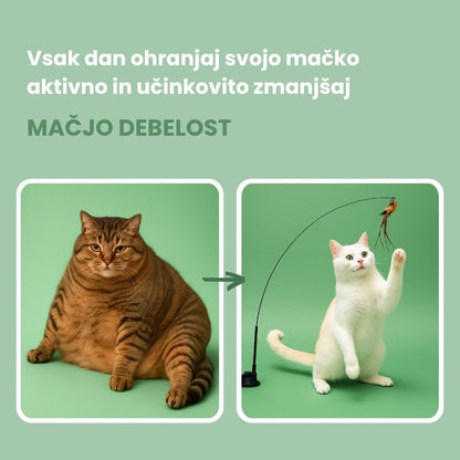 Interaktivna igrača za mačke s perjem, viseča in elastična