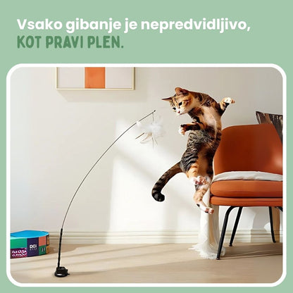 Interaktivna igrača za mačke s perjem, viseča in elastična