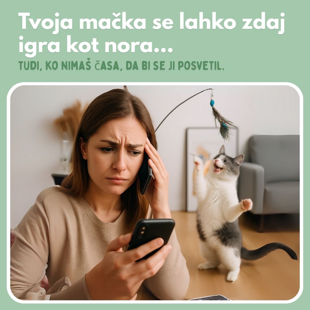 Interaktivna igrača za mačke s perjem, viseča in elastična