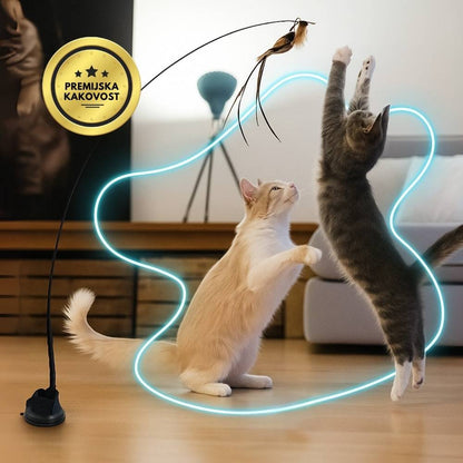 Interaktivna igrača za mačke s perjem, viseča in elastična
