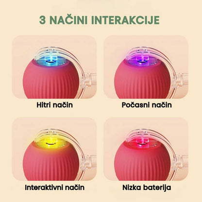 Pametna in interaktivna žogica za vašega psa – polni se prek USB-ja