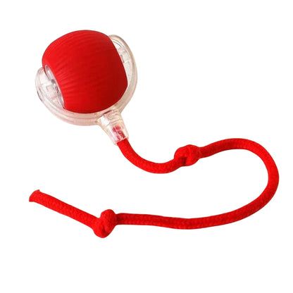Veluna Smart Ball za Pse