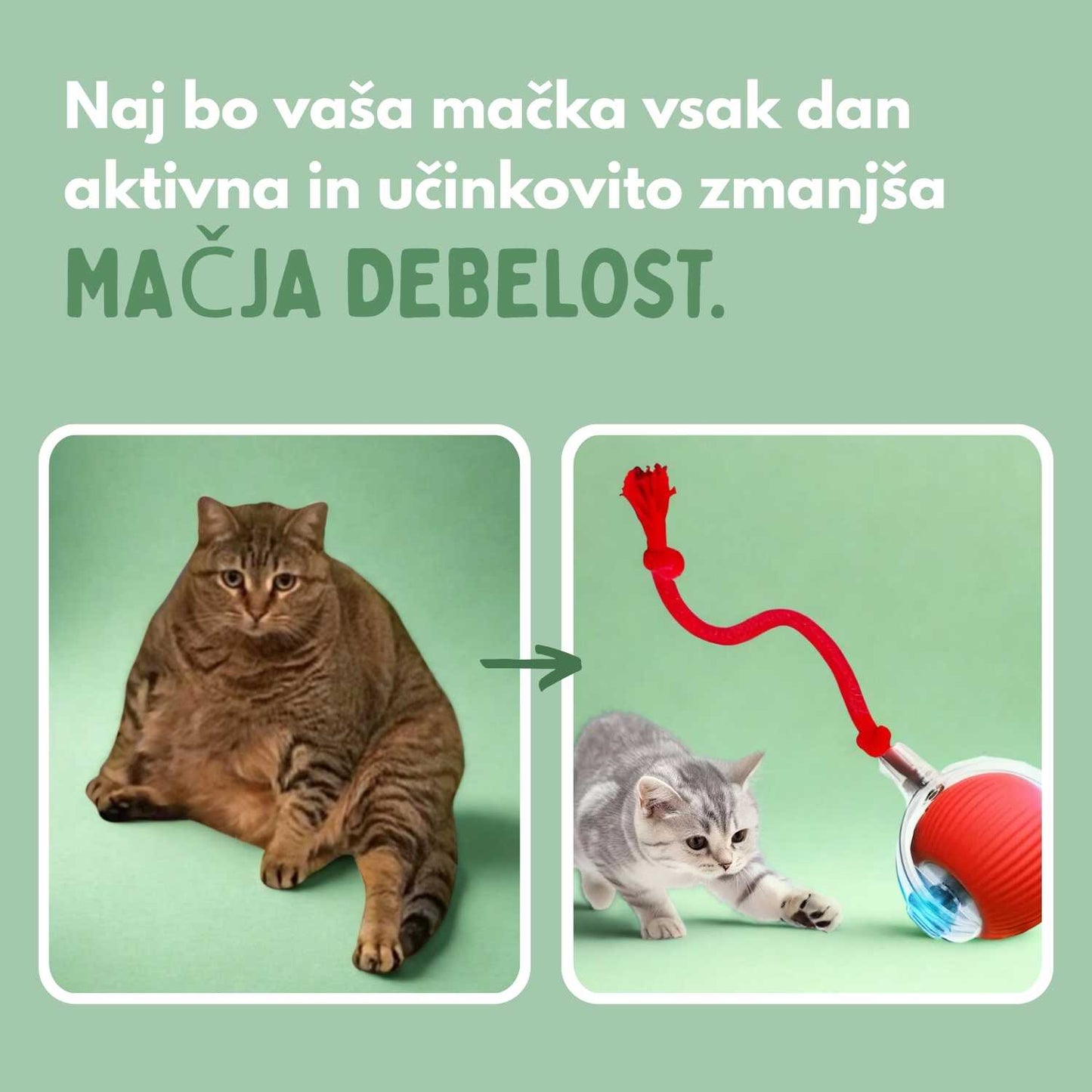 Pametna žogica za mačke, 100 % samostojna, zasnovana za posnemanje pravega plena.