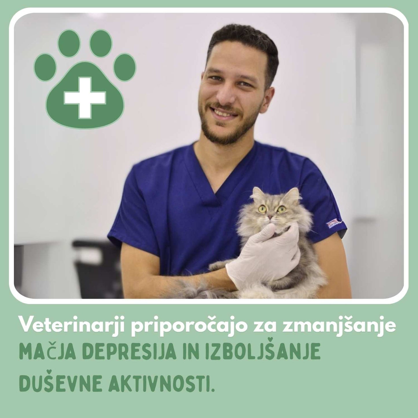 Pametna žogica za mačke, 100 % samostojna, zasnovana za posnemanje pravega plena.