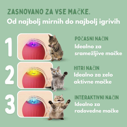Pametna žogica za mačke, 100 % samostojna, zasnovana za posnemanje pravega plena.