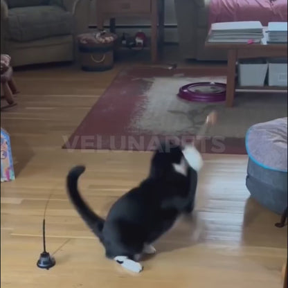 Interaktivna igrača za mačke s perjem, viseča in elastična